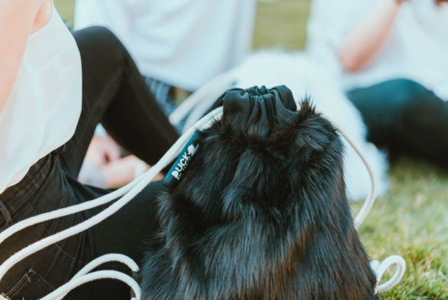 Bagira bag
