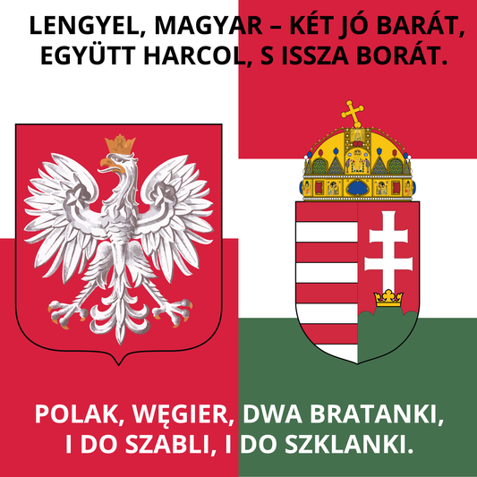magyar-lengyel barátság zászló