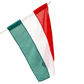 Címer nélküli magyar zászló